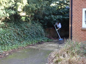 garden clearance loughton